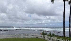 Big Island coastline